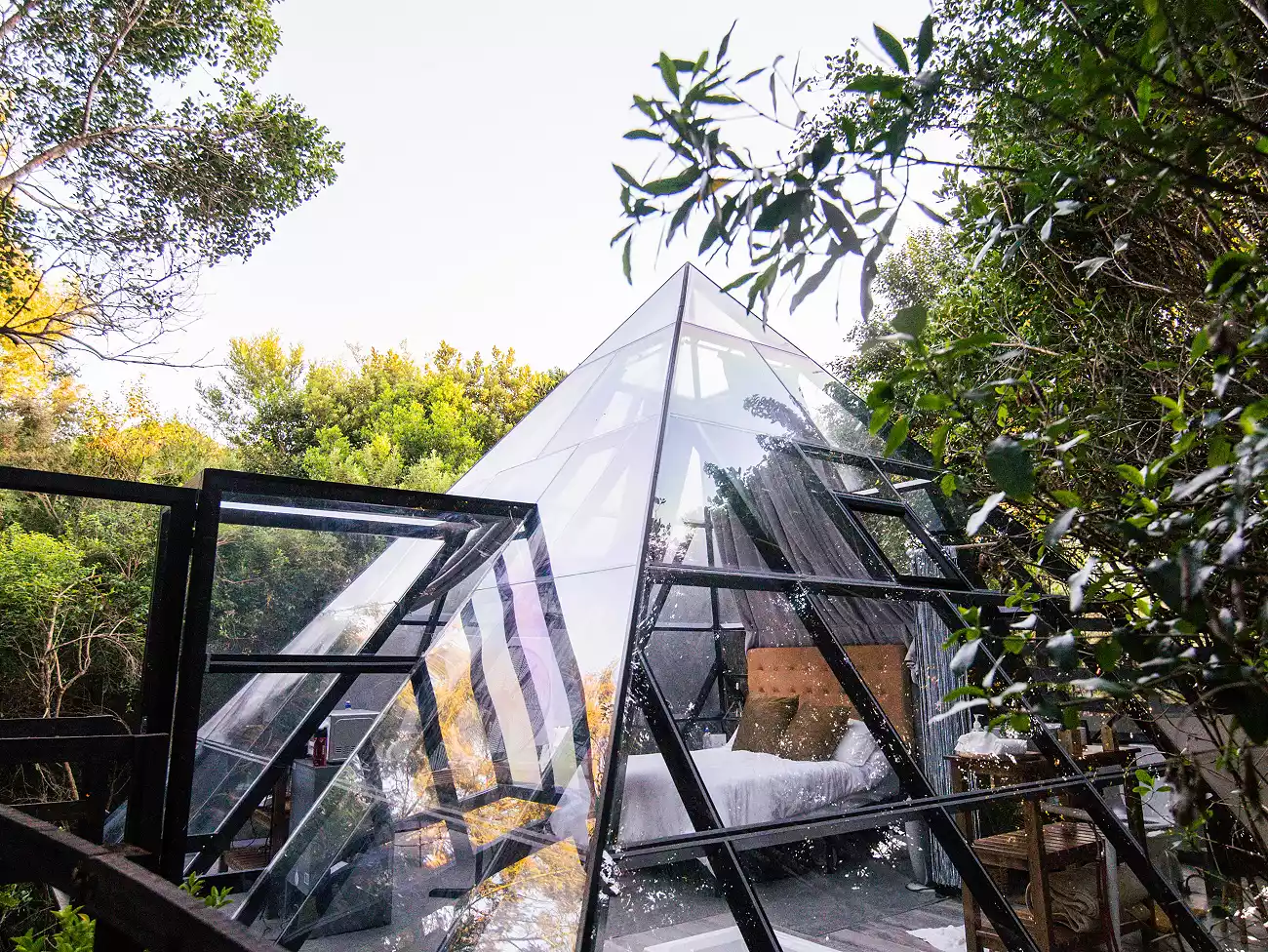 Stargazing on the Garden Route