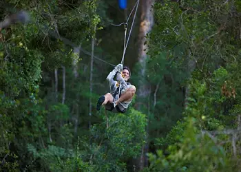 Canopy Tours