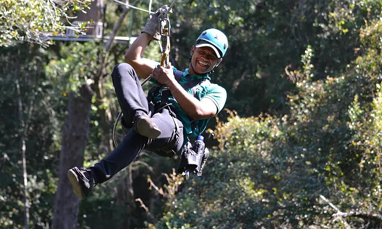 Tsitsikamma Canopy Tours - Zip Line