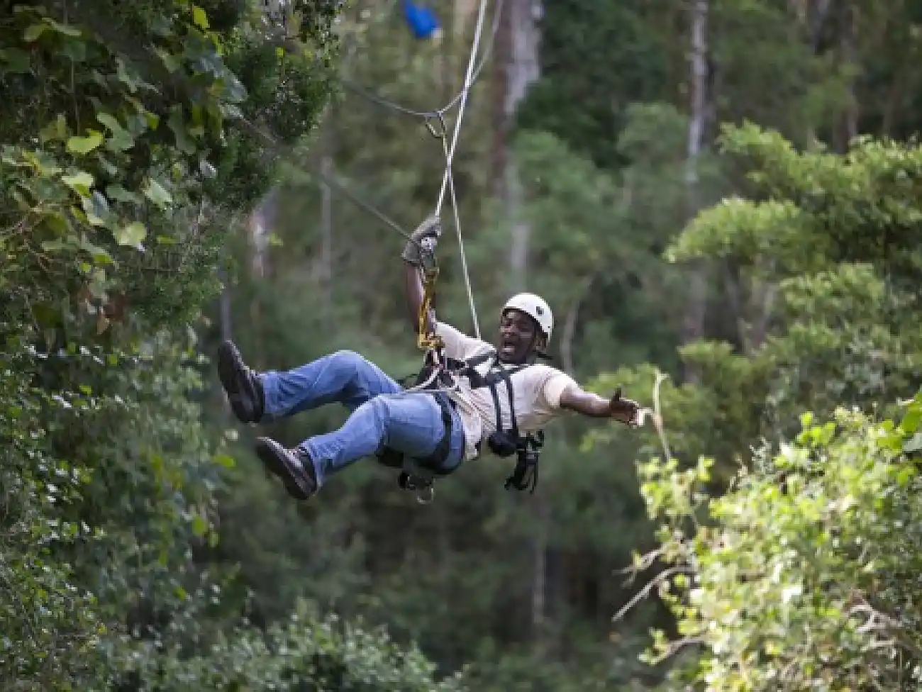 Canopy Tours in the Tsitsikamma National Park