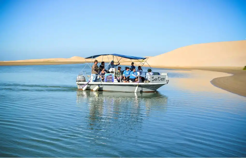 Boat Trips