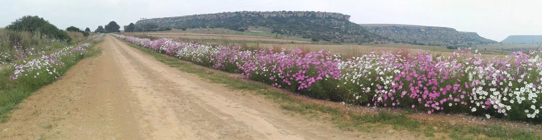 Camino Routes