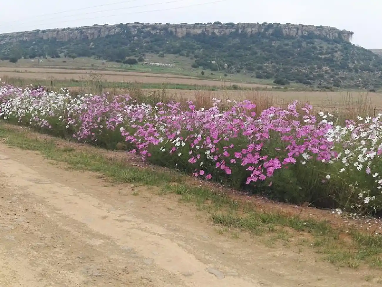 Camino Routes in the Free State