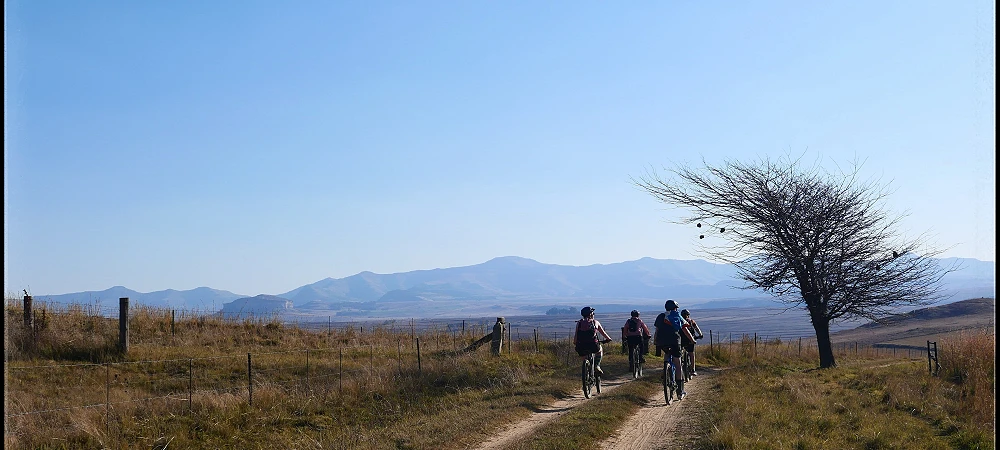 Sungazer Pilgrimage - Cycle Tours