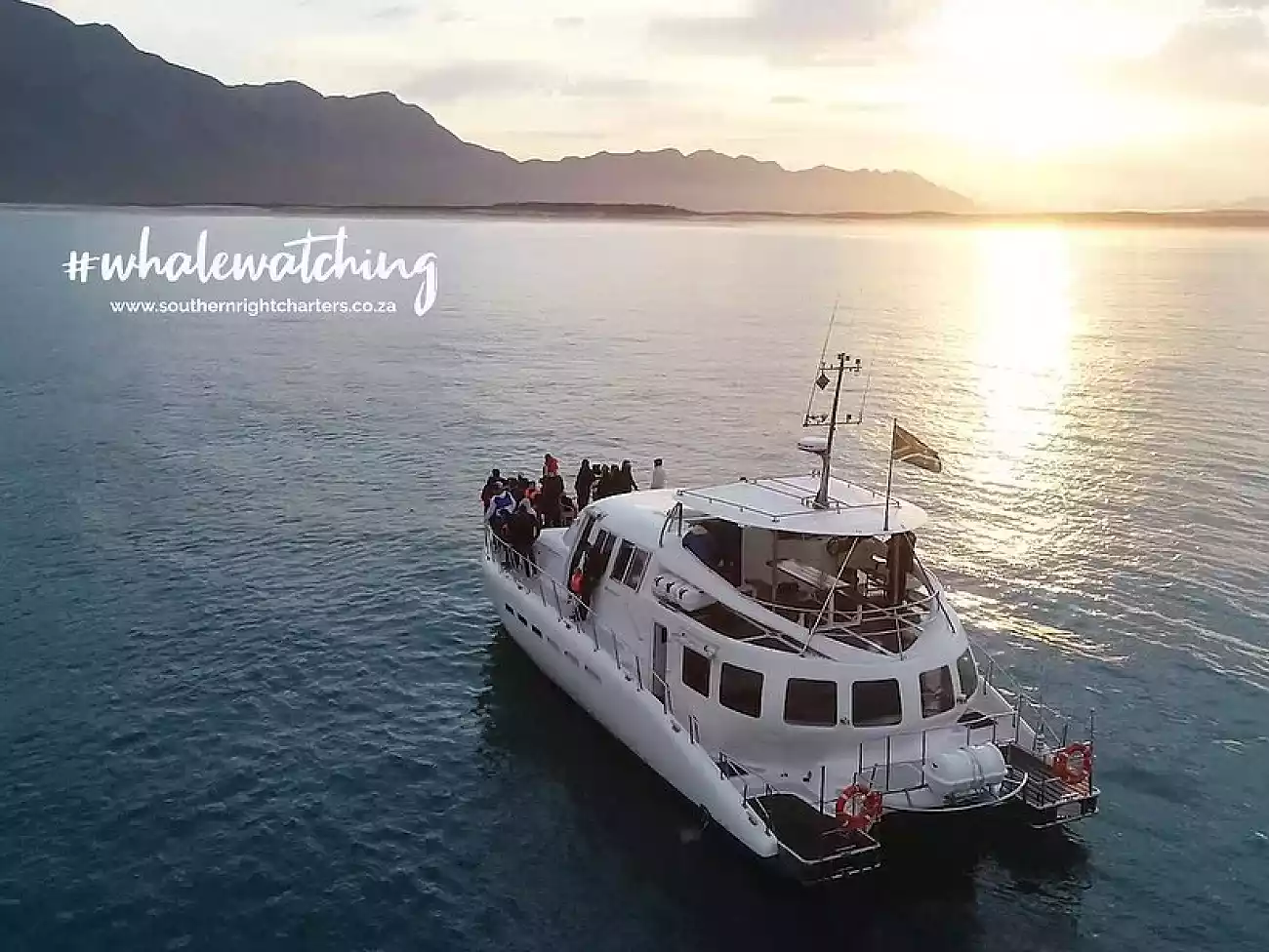Sunset Cruises in Walker Bay