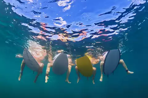 Surf Action - Surfing