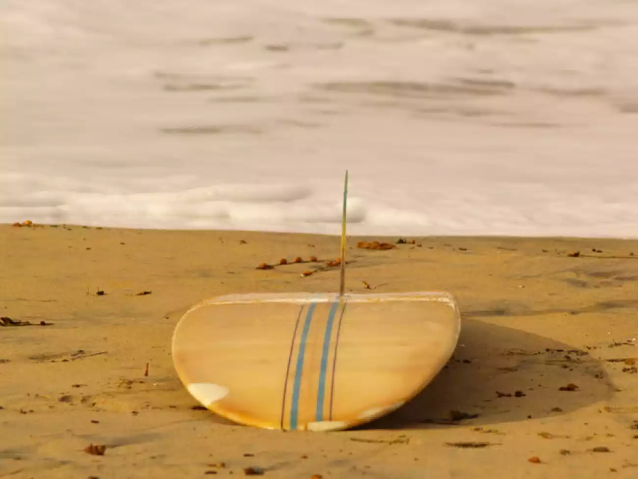 Surfing on the Garden Route