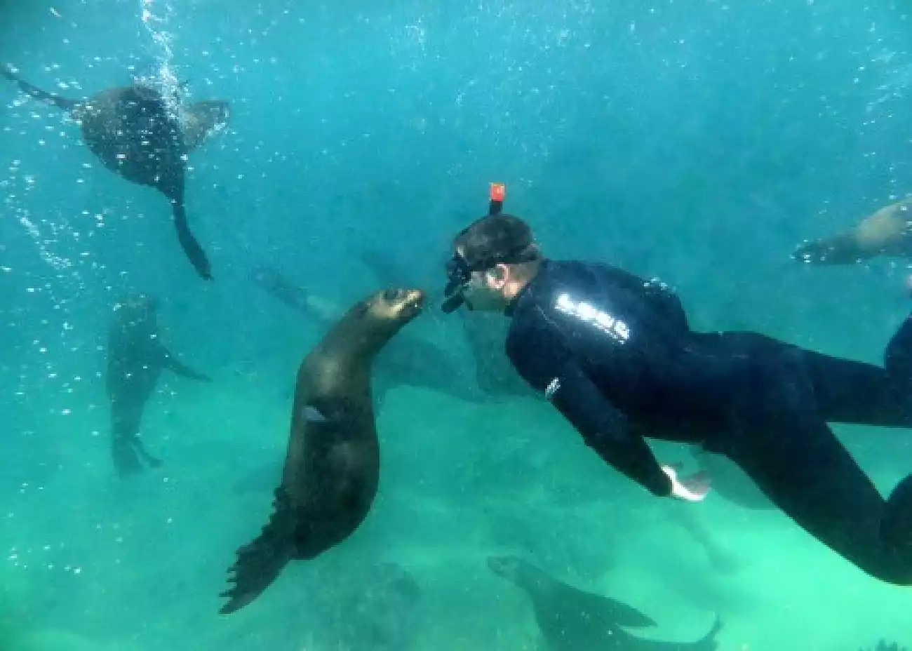 {def_description_image_text}