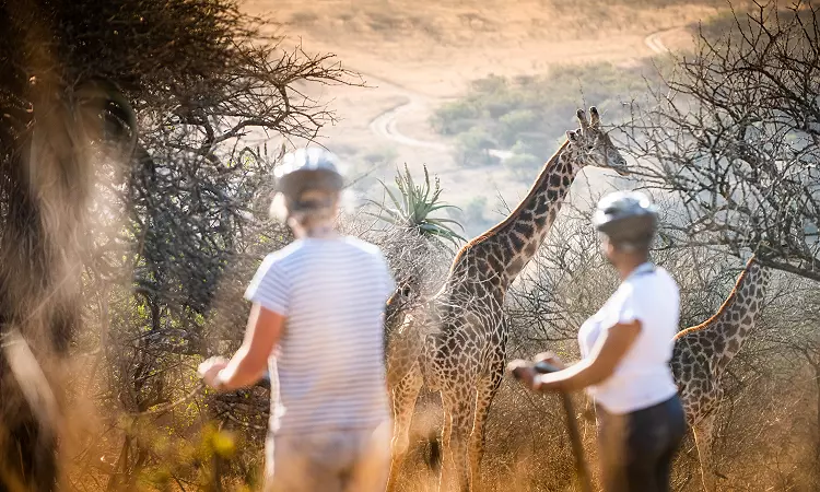 Segway Gliding Tours - Tala Game Reserve - Segway Tours