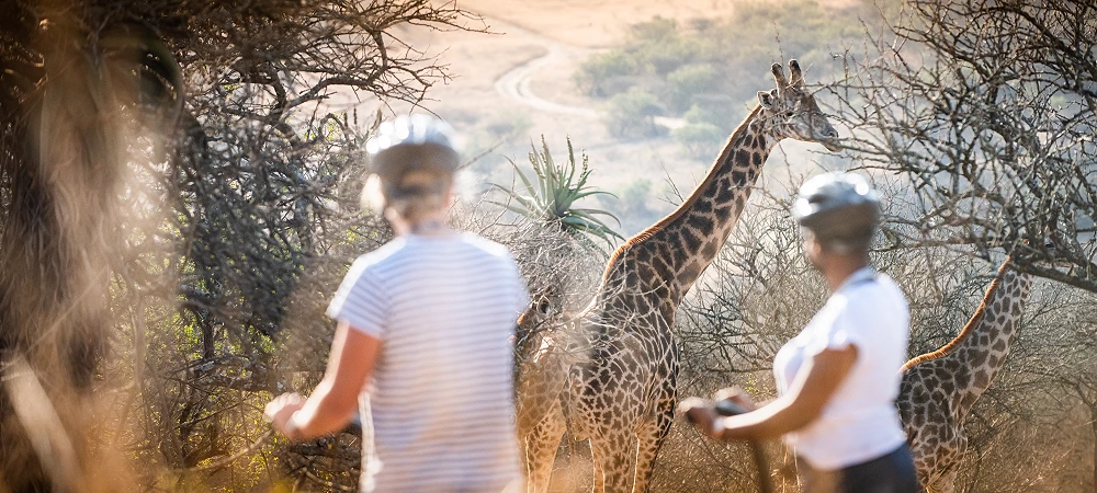 Segway Gliding Tours - Tala Game Reserve - Segway Tours