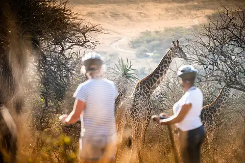 Segway Gliding Tours - Tala Game Reserve - Segway Tours