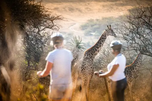 Segway Gliding Tours - Tala Game Reserve - Segway Tours