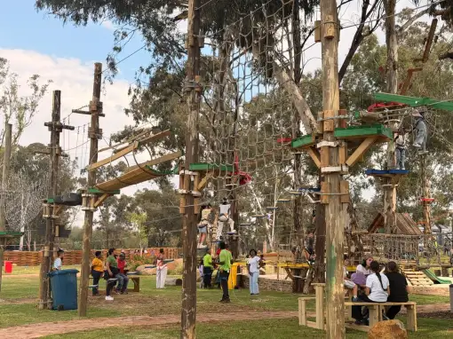 Acrobranch Adventure Park - Thaba