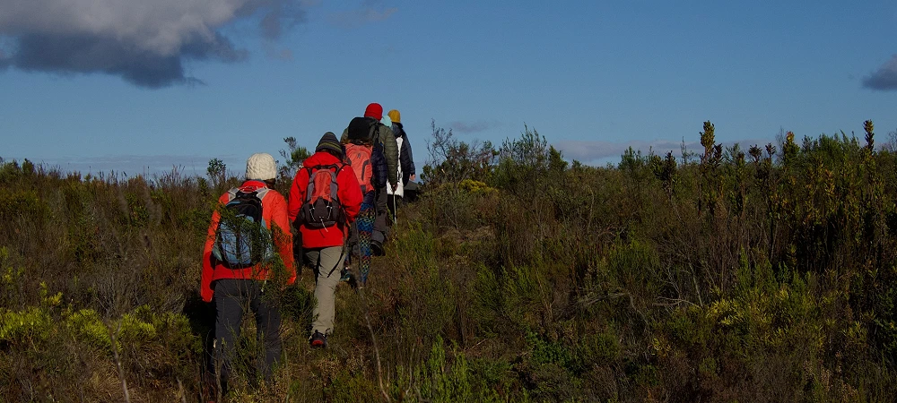 The Diversity Trail - Slackpacking