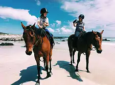 Beach Horse Rides