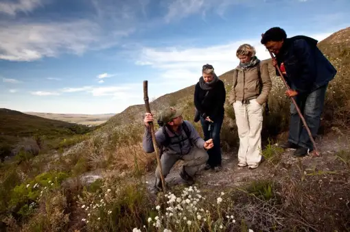 The Fynbos Trail - Slackpacking