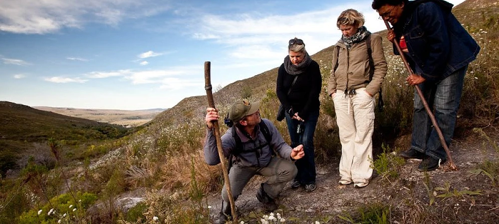 The Fynbos Trail - Slackpacking