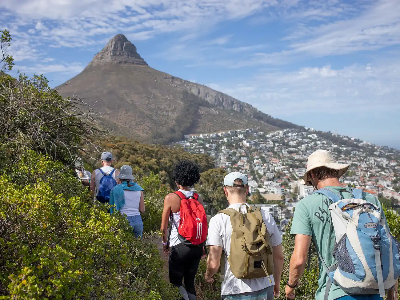 Guided Hiking on Signal Hill