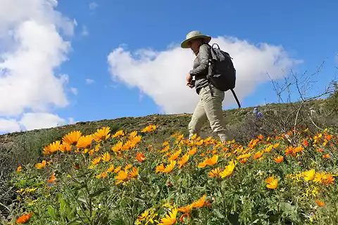 4 Day Schaapriver Canyon Flower Hike - Northern Cape