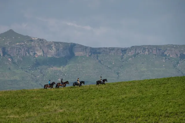 Horse Riding