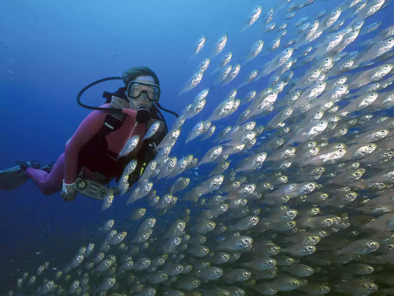 Scuba Diving in Mabibi