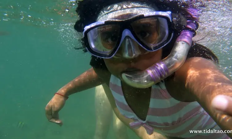 Tidal Tao offers snorkeling trips in Ballito on the north coast of KwaZulu-Natal.