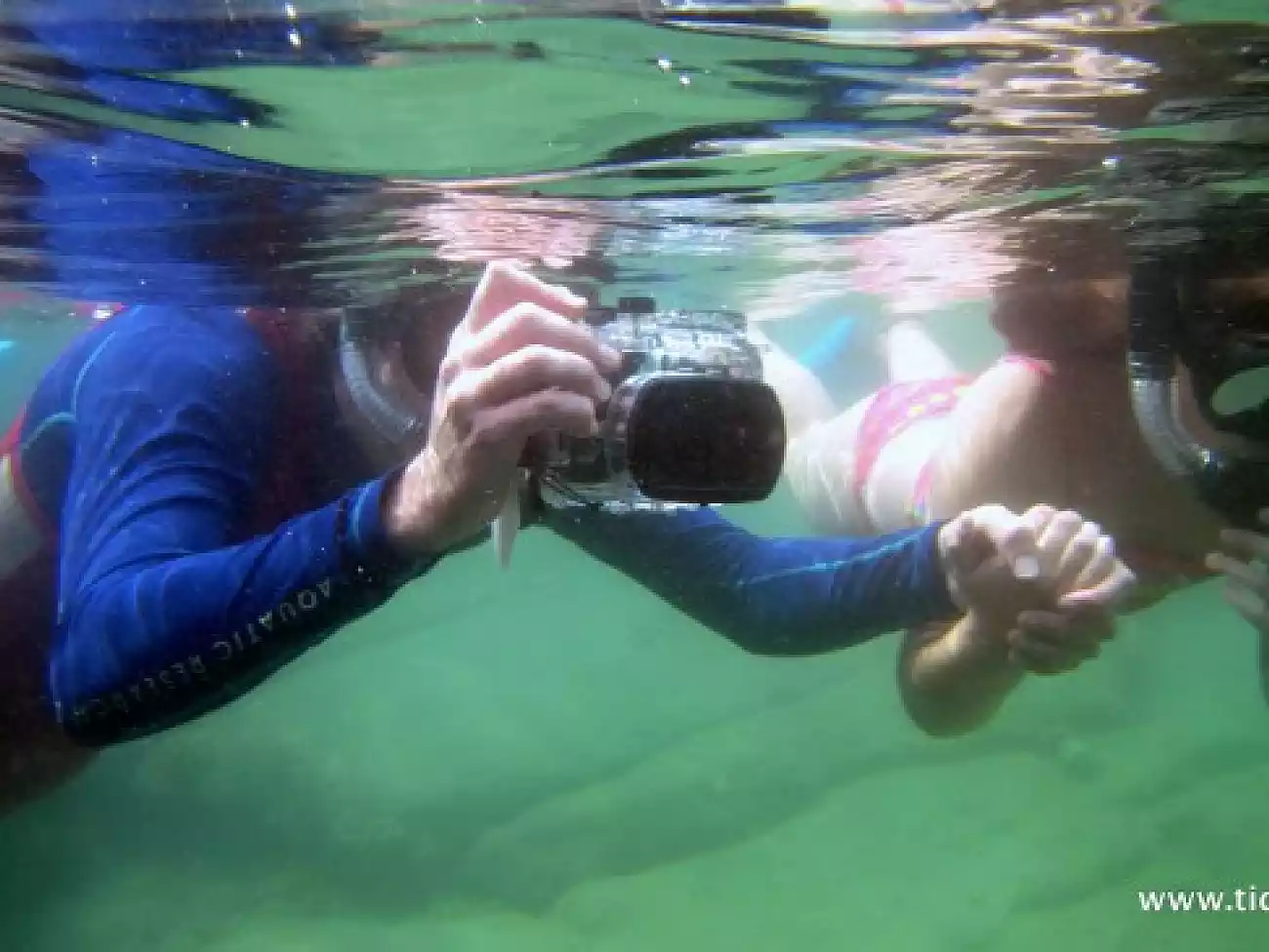 Snorkeling in Durban