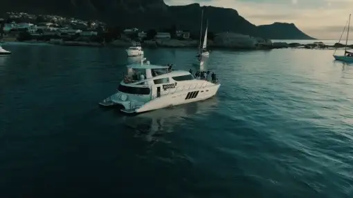 Tigger 2 - Boat Trips