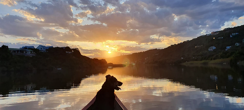 Eden Adventures - Canoeing