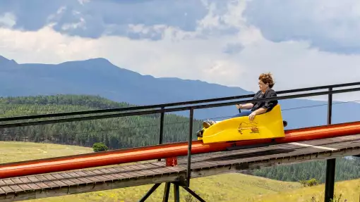 Long Tom Toboggan - Tobogganing