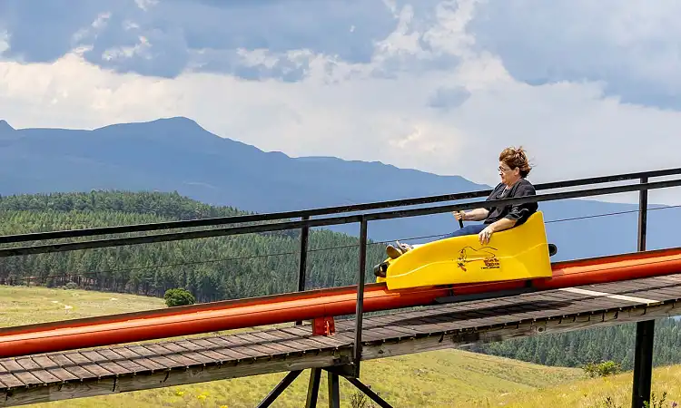 Long Tom Toboggan - Tobogganing