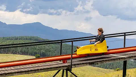 Long Tom Toboggan - Tobogganing