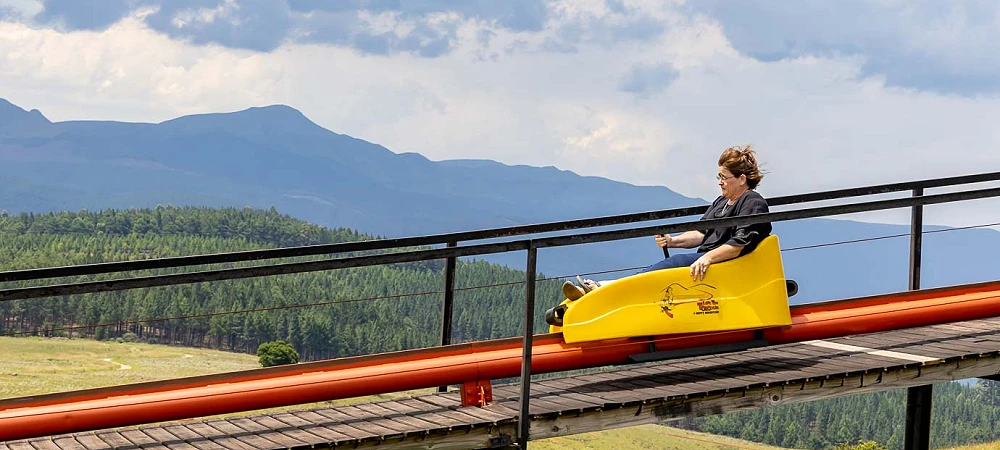 Long Tom Toboggan - Tobogganing