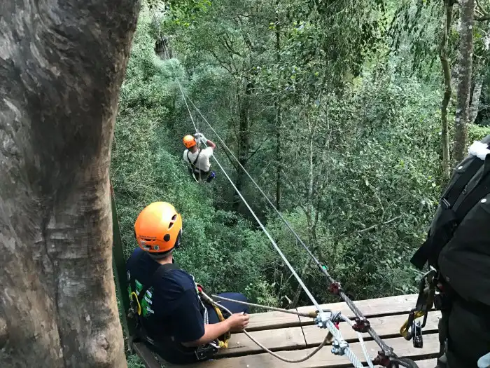 Canopy Tours