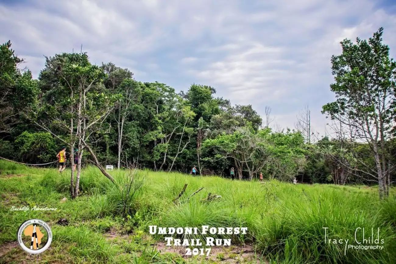 {def_description_image_text}