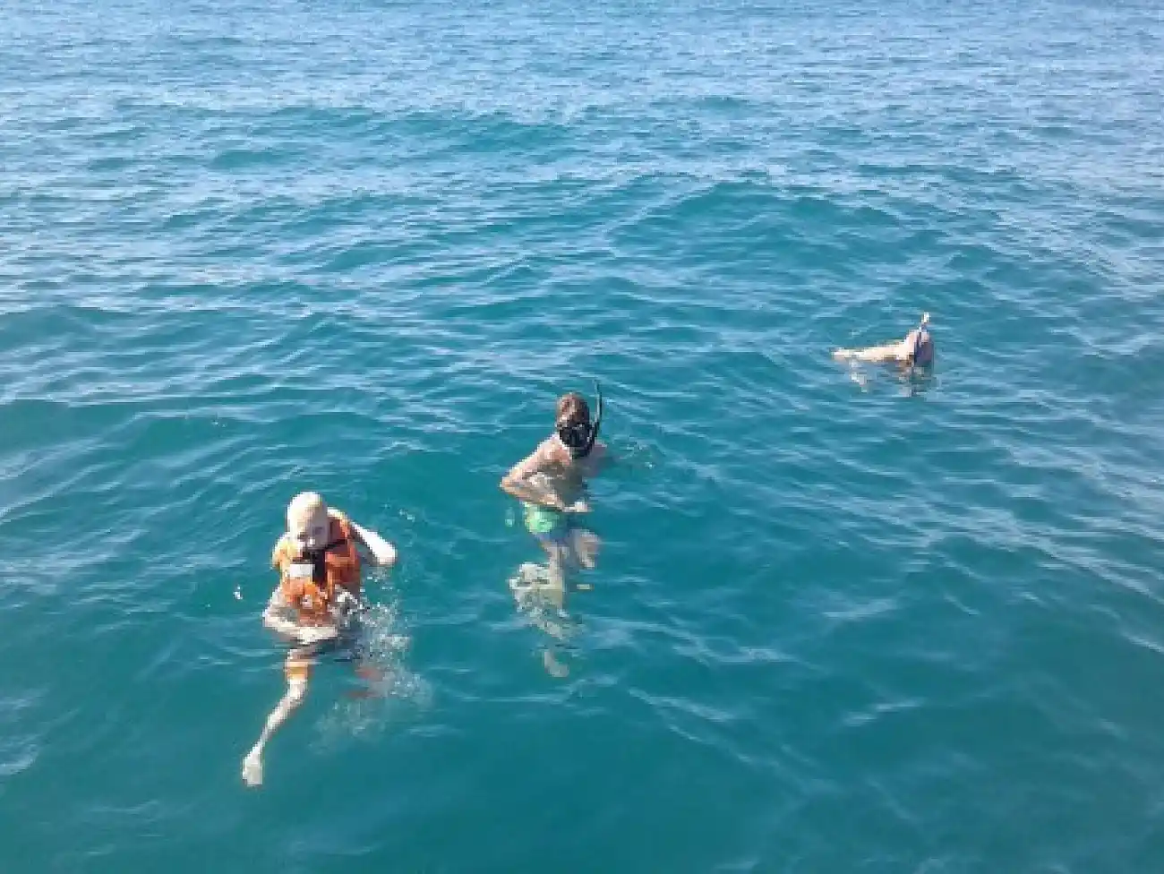 Snorkelling trips in Umhlanga