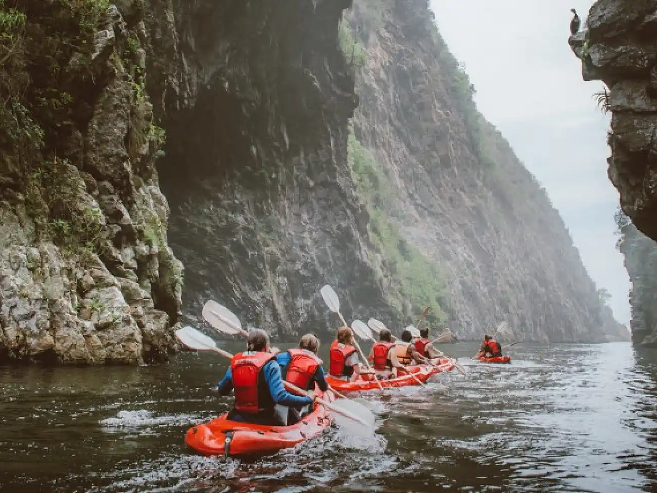 Kayaking on the Garden Route