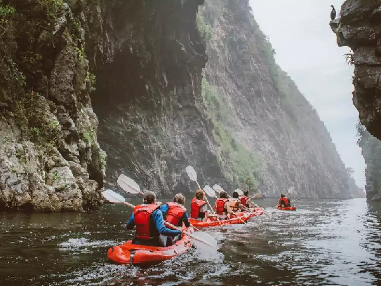 Kayaking on the Garden Route