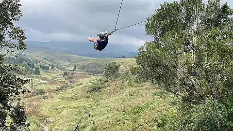 Vertical Rush - King Swing