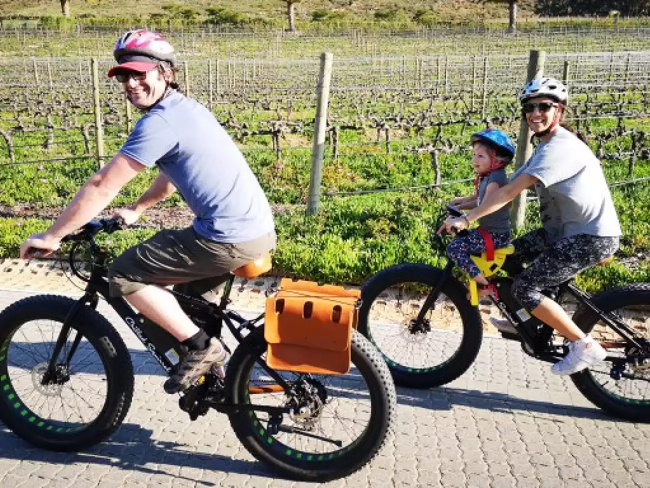 E-Bike Tours in Stellenbosch