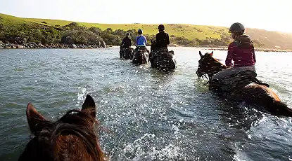 The Best Adventure Holidays in South Africa