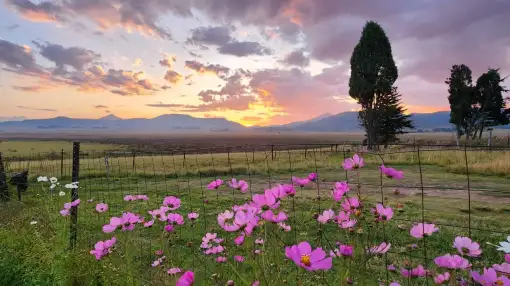 Wakkerstroom Wonder - Slackpacking