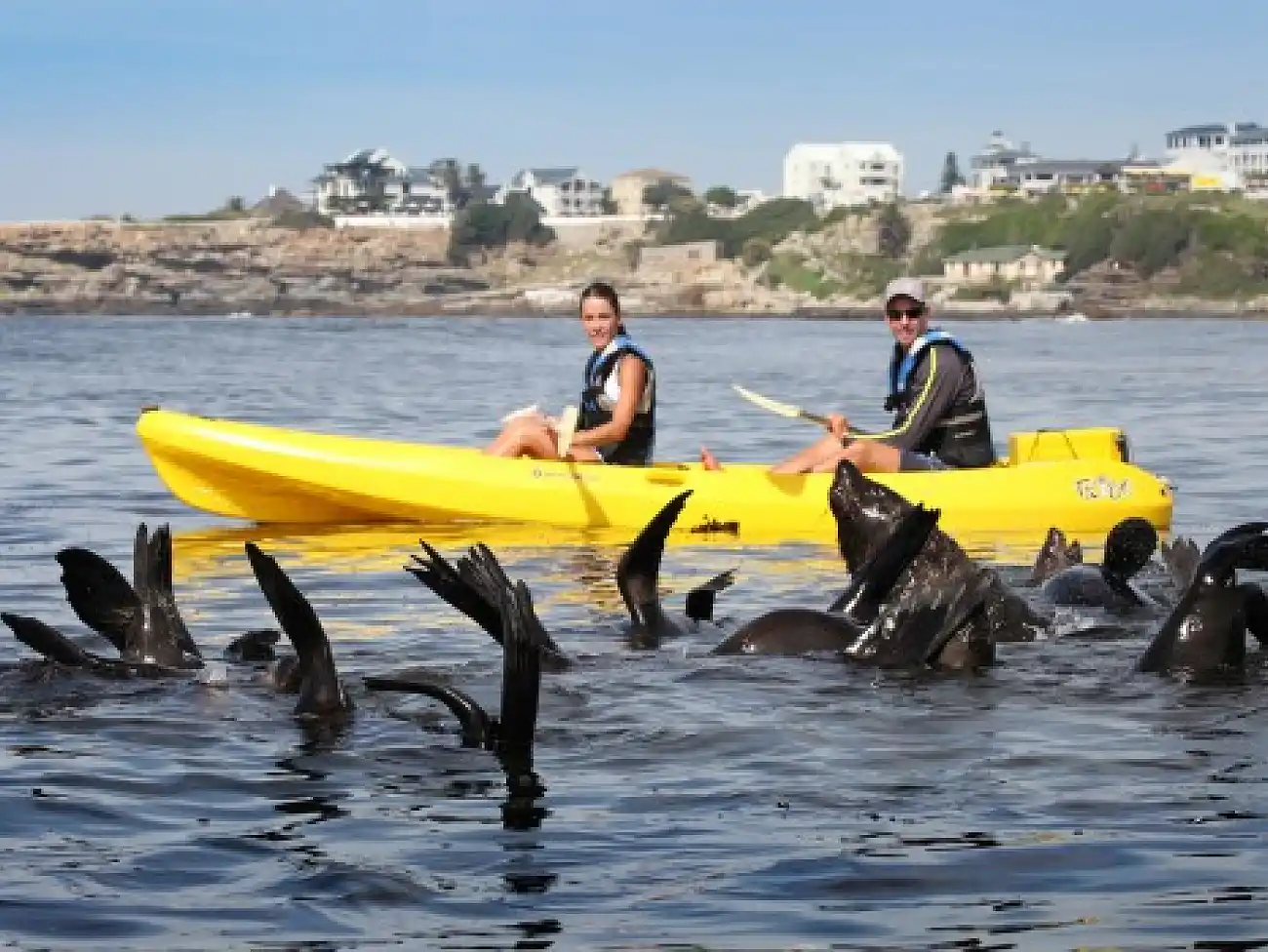 Kayaking in the Overberg