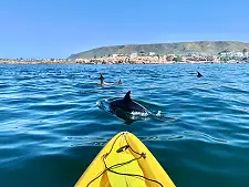 Sea Kayaking