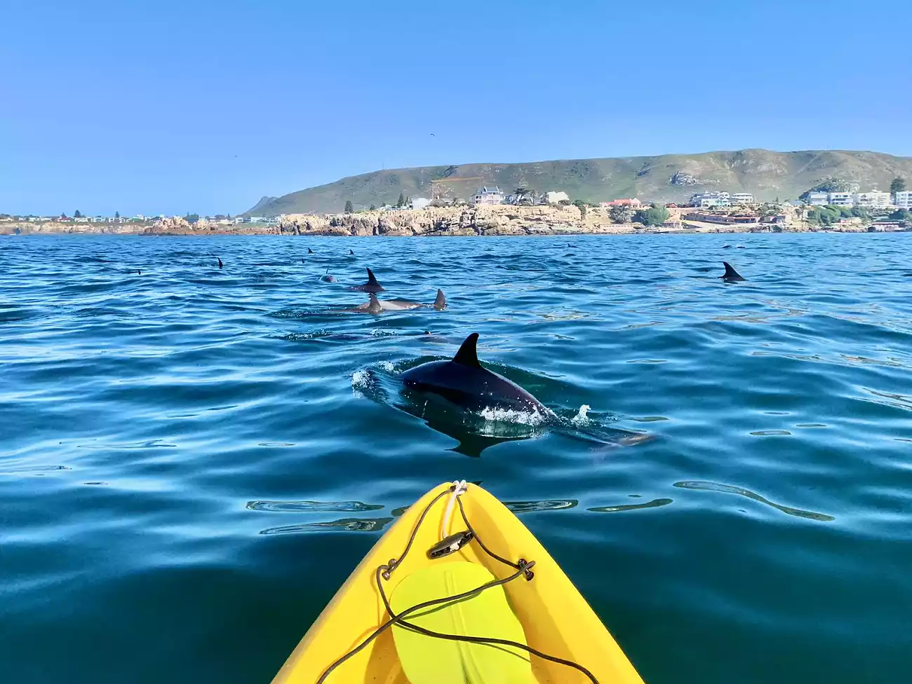Sea Kayaking in Walker Bay 