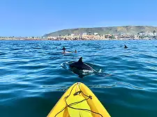 Sea Kayaking