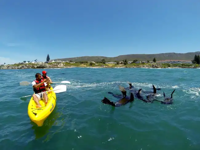 Kayaking