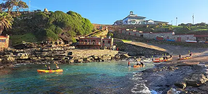 Walker Bay Adventures - Sea Kayaking