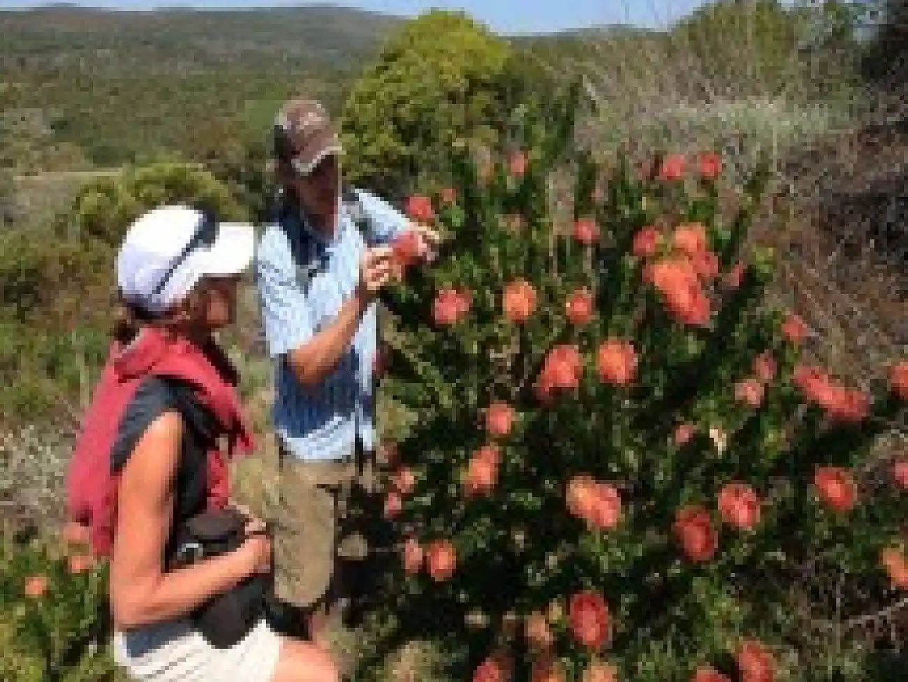 Hiking in Walker Bay