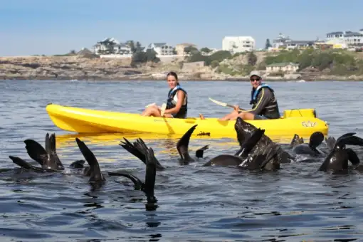 Walker Bay Adventures - Sea Kayaking